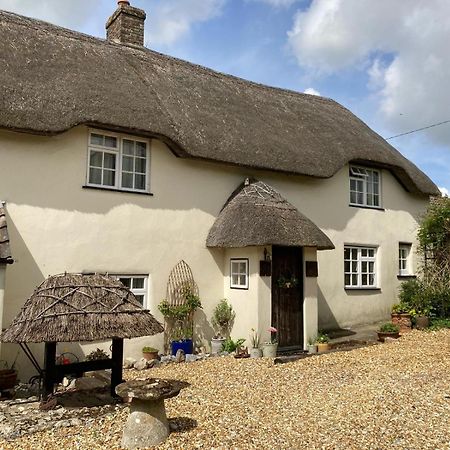 Guest Suite At 31 Little England Milborne Saint Andrew Exterior foto